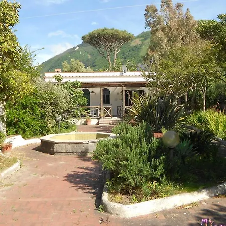Anna Holiday home
